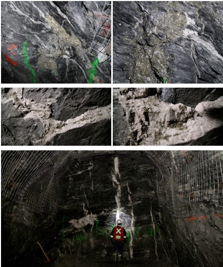 Visible sulfide mineralization in the bottom sill development