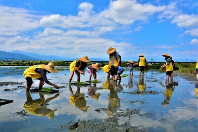 Makalot Yilan 52-Jia Wetland Rice Planting Event-supporting natural farming and friendly ecology