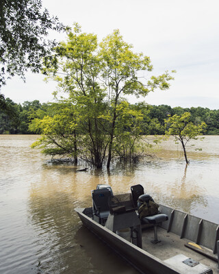 NativState forest carbon development releases verified ACR 848 high-quality nature-based forest carbon credits for sale.