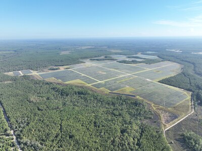 Rice Creek Solar - Putnam County, FL