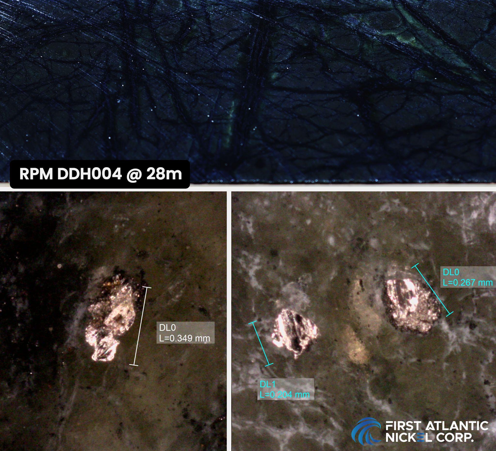 Drill core DDH004 (AN-24-05), at 28 meters depth. Top image: Disseminated awaruite (sulfur-free nickel alloy) in serpentinized peridotite with magnetite veins. Bottom image: Awaruite grains (up to 349 microns) under a microscope at 28 meters depth.