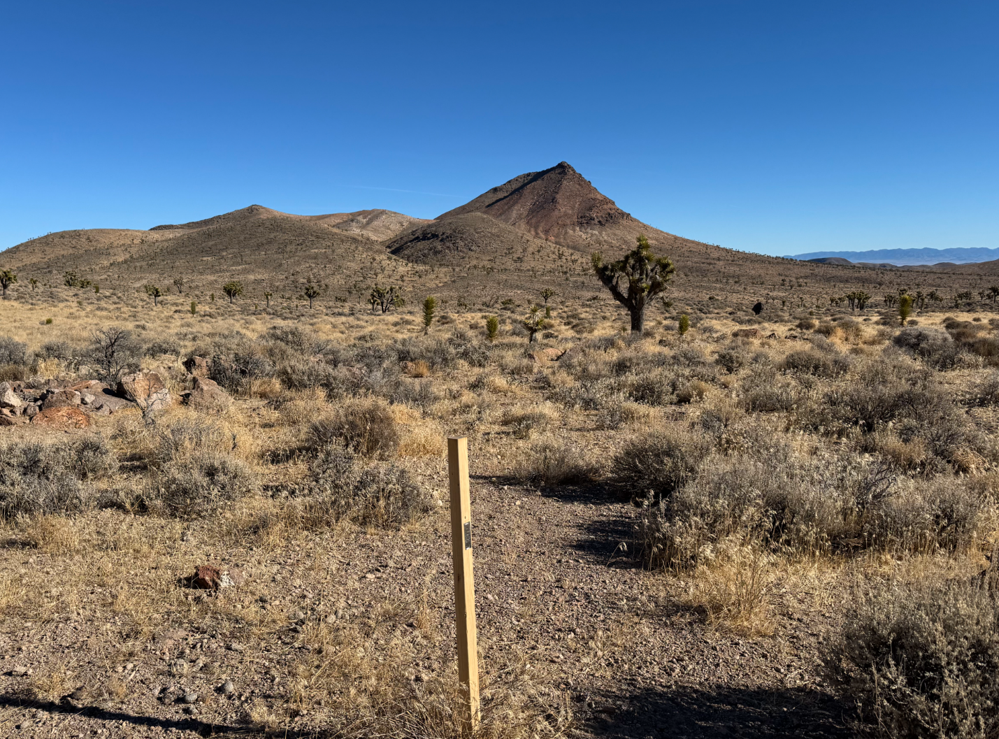 Fig 4. Photo of advanced argillic alteration in the rhyolite dome at Celts. Photo looking towards the northeast.