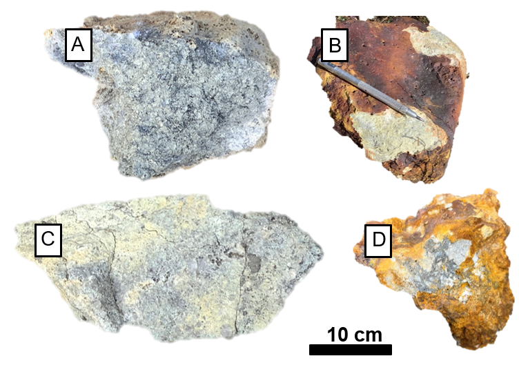 Rock sample photographs from the Sunrise Mine target area.  New data demonstrate that robust gold grades exist up to 850 meters from the historic Sunrise Mine in porphyritic intrusions providing a linkage between historically mined CRD mineralization and epithermal-porphyry transitional mineralization.  A) Sample 191902 (0.09 g/t Au); B) sample 191903 (4.26 g/t Au); C) sample 191904 (3.22 g/t Au); sample 191905 (4.22 g/t Au).